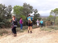 2018-11-12 14.06.32 (Grand)